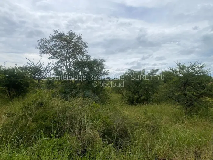Farm/Plot for Sale in Woodville Park, Bulawayo
