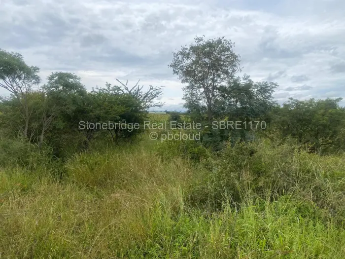 Farm/Plot for Sale in Woodville Park, Bulawayo