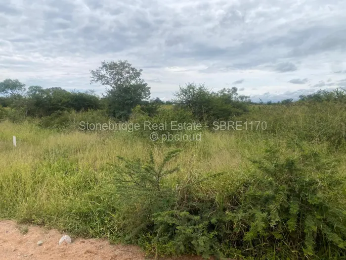 Farm/Plot for Sale in Woodville Park, Bulawayo