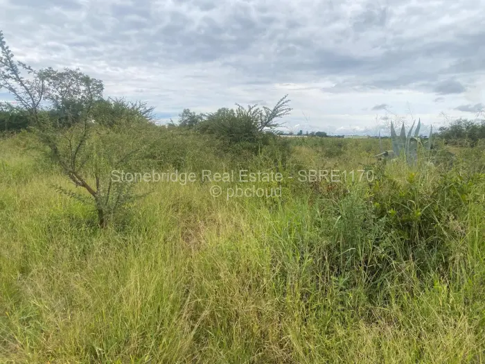 Farm/Plot for Sale in Woodville Park, Bulawayo