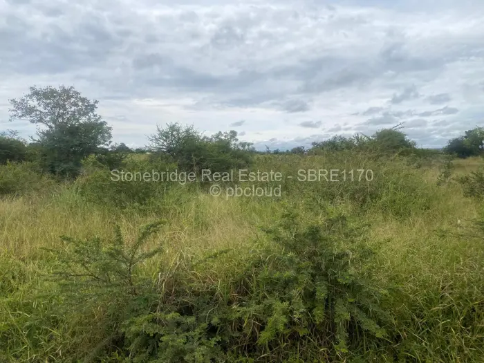 Farm/Plot for Sale in Woodville Park, Bulawayo