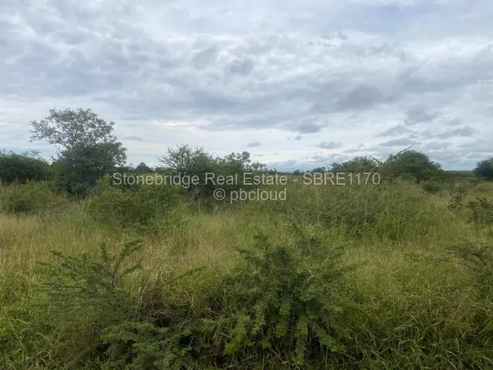 Farm/Plot for Sale in Woodville Park, Bulawayo