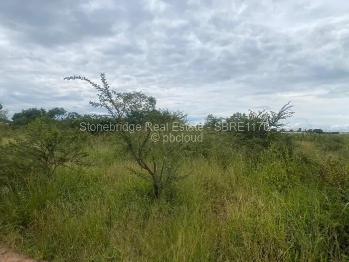 Farm/Plot for Sale in Woodville Park, Bulawayo