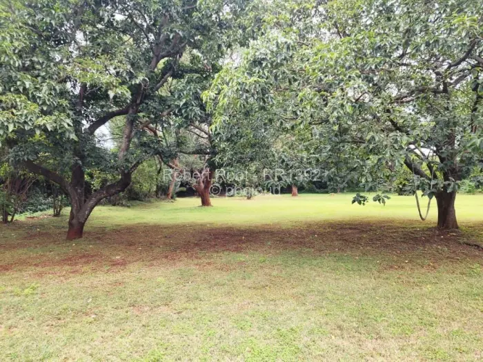 3 Bedroom House to Rent in Vainona