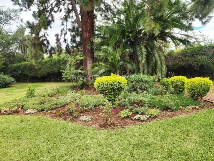 3 Bedroom House to Rent in Vainona