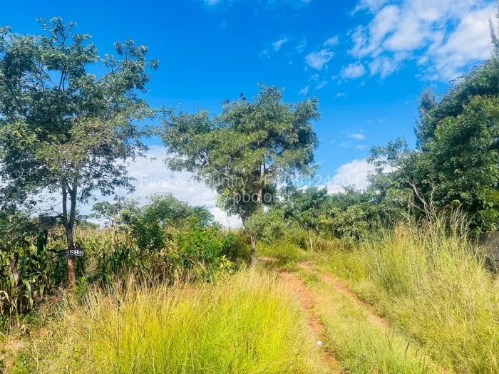 Residential Stand for Sale in The Grange, Harare