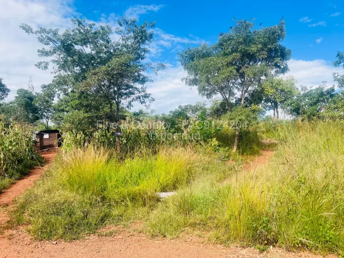 Residential Stand for Sale in The Grange, Harare