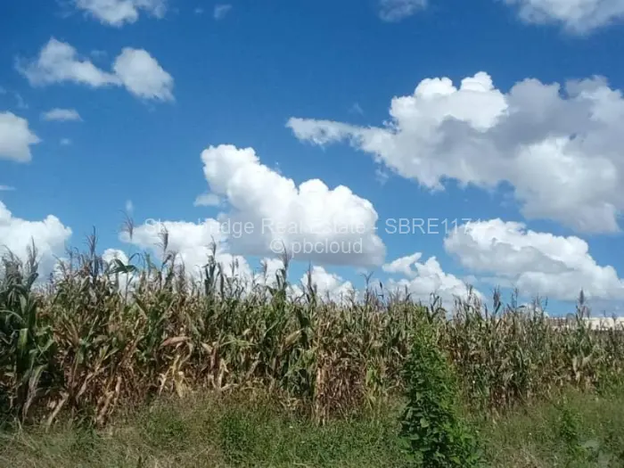 Residential Stand for Sale in Cowdray Park, Bulawayo