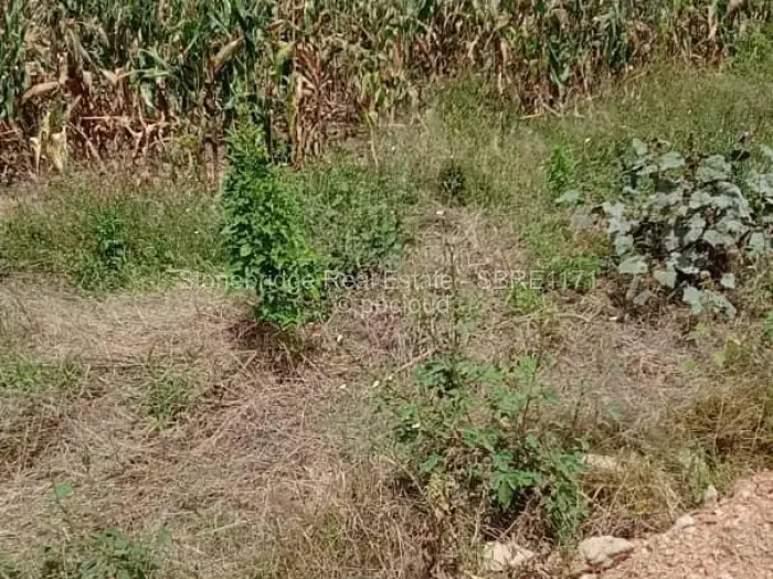 Residential Stand for Sale in Cowdray Park, Bulawayo