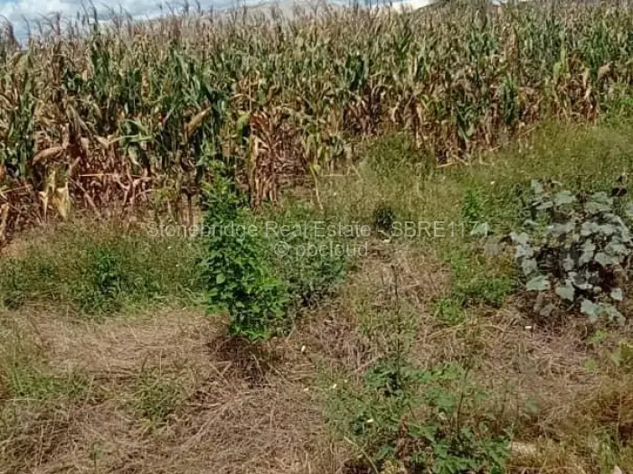 Residential Stand for Sale in Cowdray Park, Bulawayo