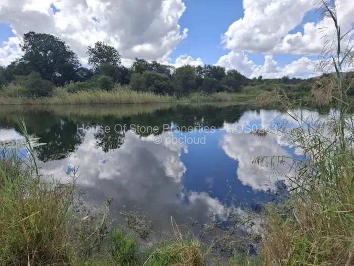 Residential Stand for Sale in Insiza, Insiza