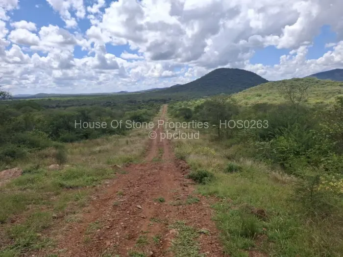 Residential Stand for Sale in Insiza, Insiza