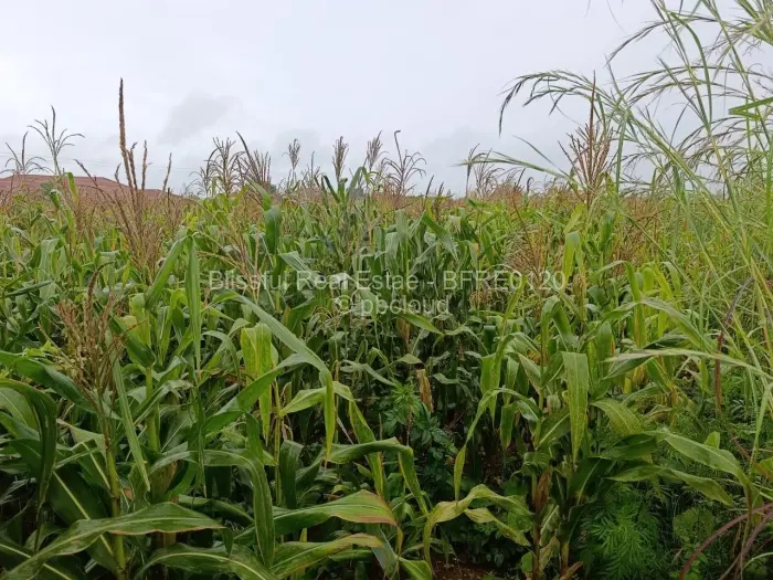 Residential Stand for Sale in Mount Pleasant, Harare