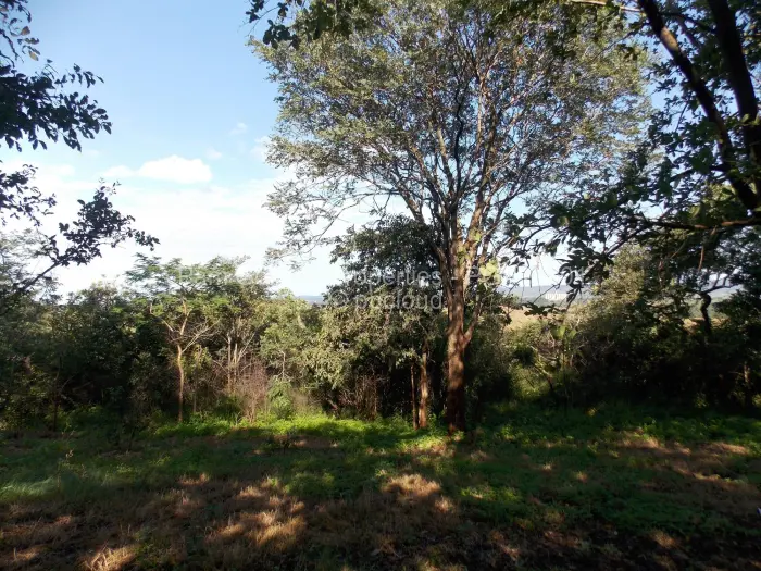 3 Bedroom House for Sale in Chinhoyi, Chinhoyi