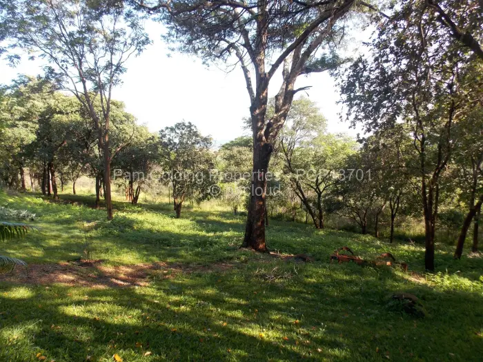 3 Bedroom House for Sale in Chinhoyi, Chinhoyi