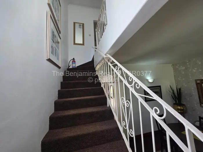 Flat/Apartment to Rent in Avondale