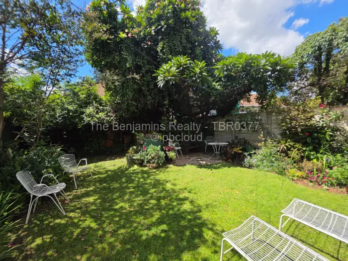 Flat/Apartment to Rent in Avondale