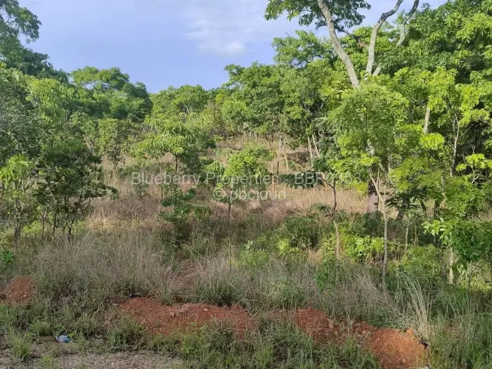 Residential Stand for Sale in Carrick Creagh Estate, Harare