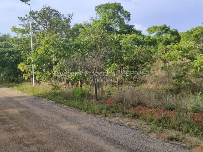 Residential Stand for Sale in Carrick Creagh Estate, Harare