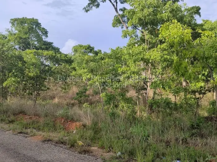 Residential Stand for Sale in Carrick Creagh Estate, Harare