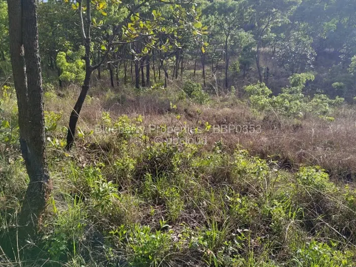 Residential Stand for Sale in Carrick Creagh Estate, Harare