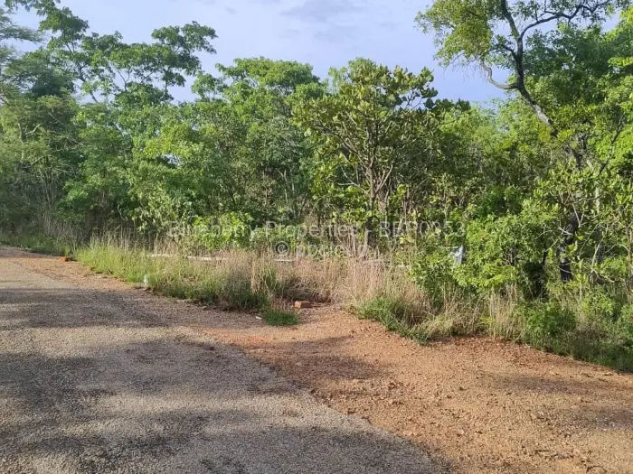 Residential Stand for Sale in Carrick Creagh Estate, Harare