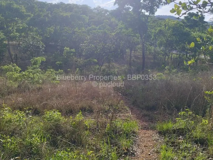 Residential Stand for Sale in Carrick Creagh Estate, Harare