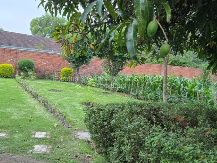 4 Bedroom House to Rent in Marlborough