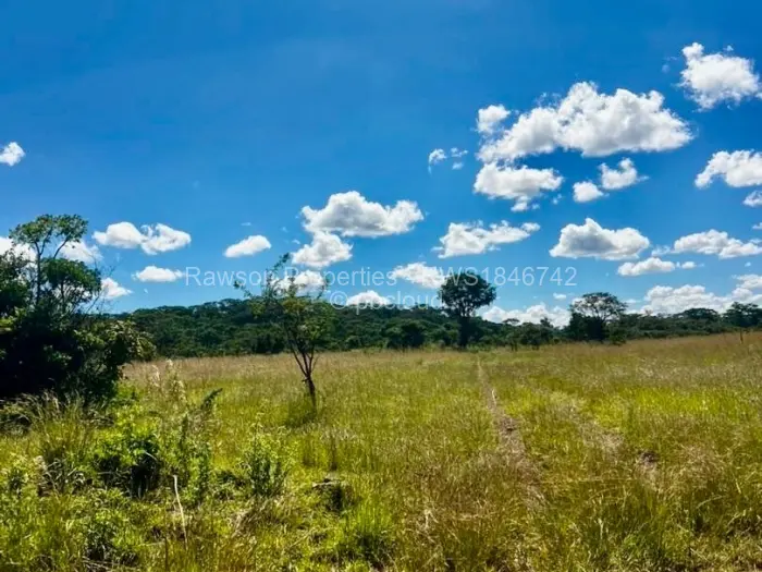Farm/Plot for Sale in Gutu, Gutu