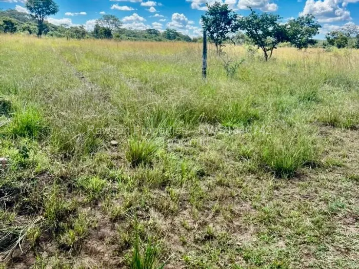 Farm/Plot for Sale in Gutu, Gutu