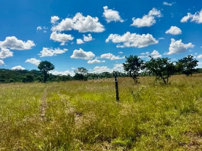 Farm/Plot for Sale in Gutu, Gutu