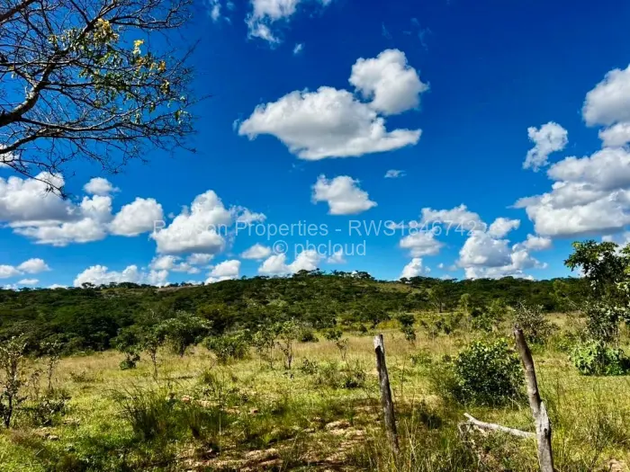 Farm/Plot for Sale in Gutu, Gutu