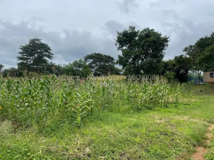 Farm/Plot for Sale in Glen Forest, Harare