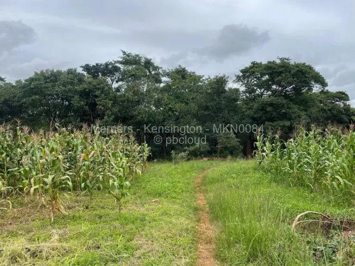 Farm/Plot for Sale in Glen Forest, Harare