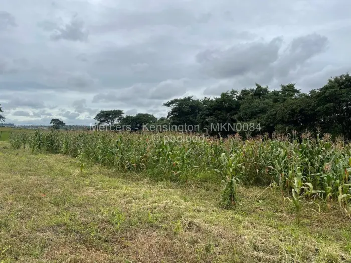 Farm/Plot for Sale in Glen Forest, Harare