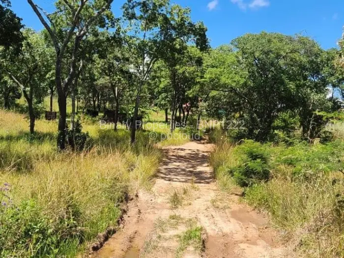 Residential Stand for Sale in Carrick Creagh Estate, Harare