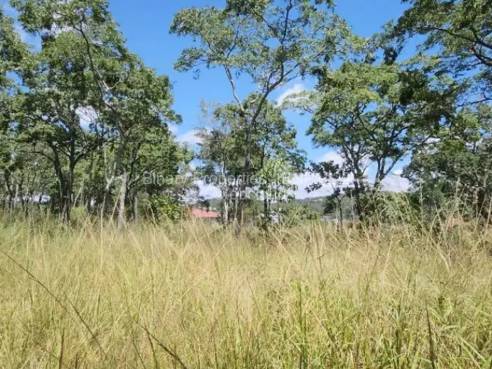 Residential Stand for Sale in Carrick Creagh Estate, Harare