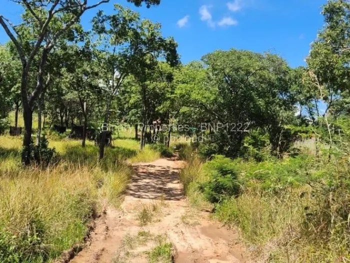 Residential Stand for Sale in Carrick Creagh Estate, Harare