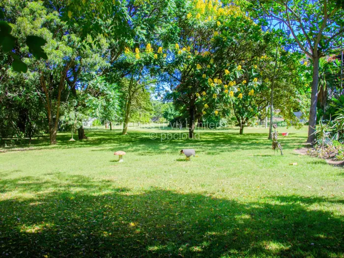 Residential Stand for Sale in Greendale, Harare