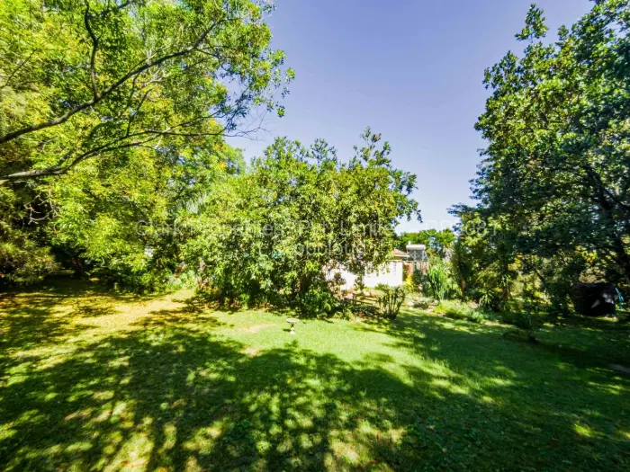 Residential Stand for Sale in Greendale, Harare