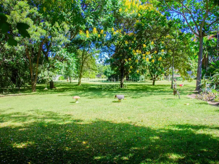 3 Bedroom House for Sale in Greendale, Harare