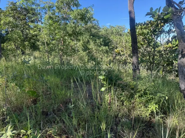 Residential Stand for Sale in Gletwin Park, Harare