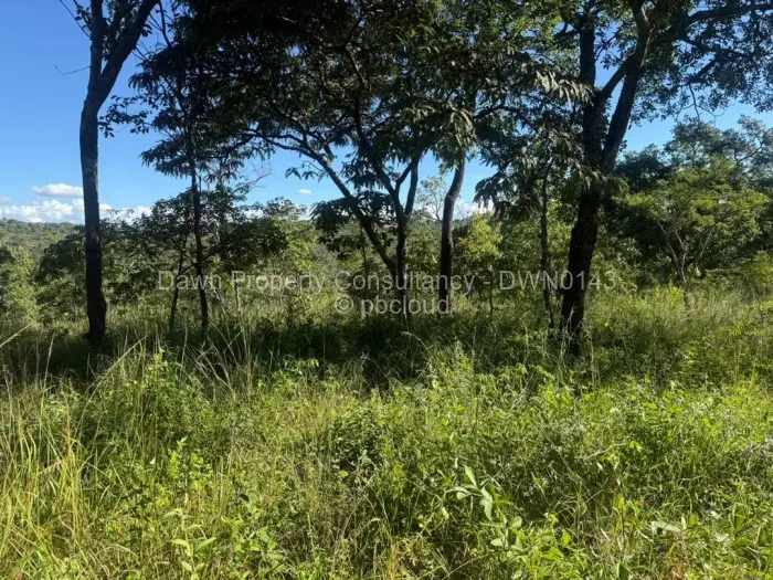 Residential Stand for Sale in Gletwin Park, Harare