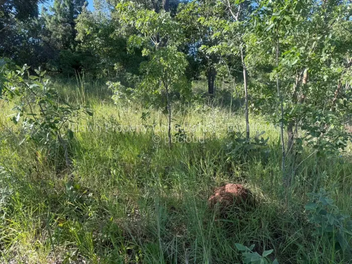 Residential Stand for Sale in Gletwin Park, Harare