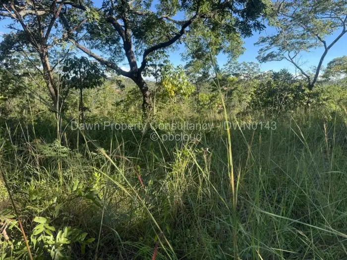 Residential Stand for Sale in Gletwin Park, Harare