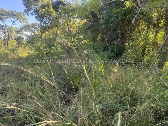 Residential Stand for Sale in Gletwin Park, Harare