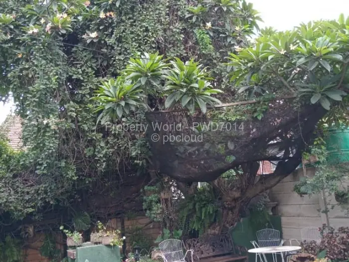 2 Bedroom Cottage/Garden Flat to Rent in Avondale, Harare