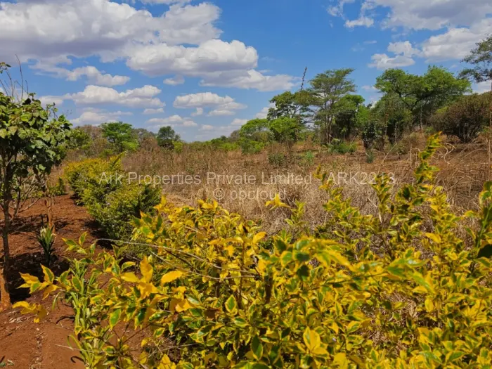 Residential Stand for Sale in Kwekwe, Kwekwe