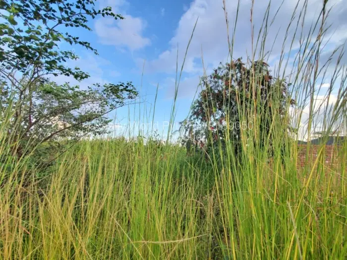 Residential Stand for Sale in Haydon Park, Mazowe