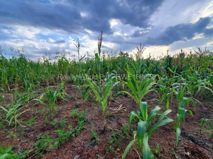 Residential Stand for Sale in Haydon Park, Mazowe